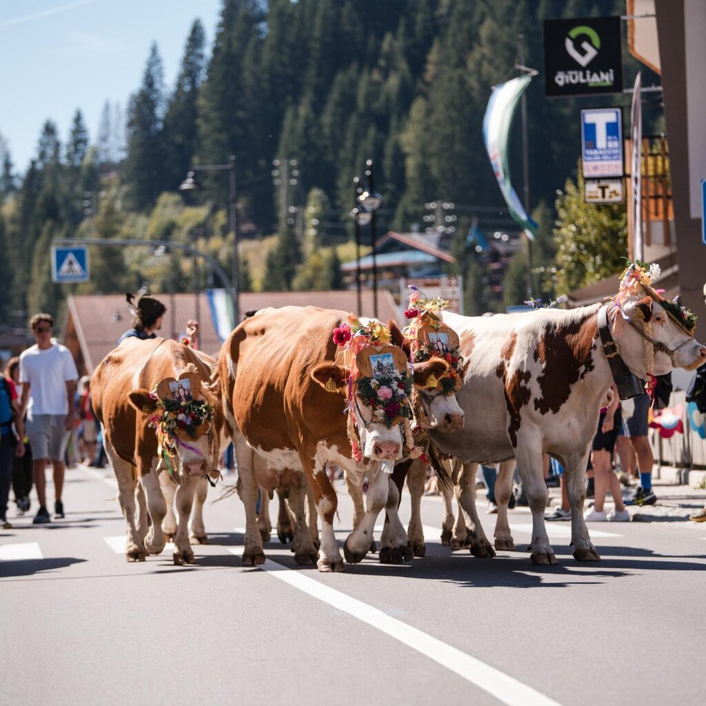 Desmonteada De Soraga