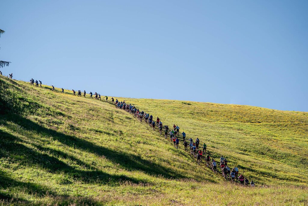 Images Trn 1 10e5ed2a 3de3 4a90 8ac2 C7245dc8939c 99 Image