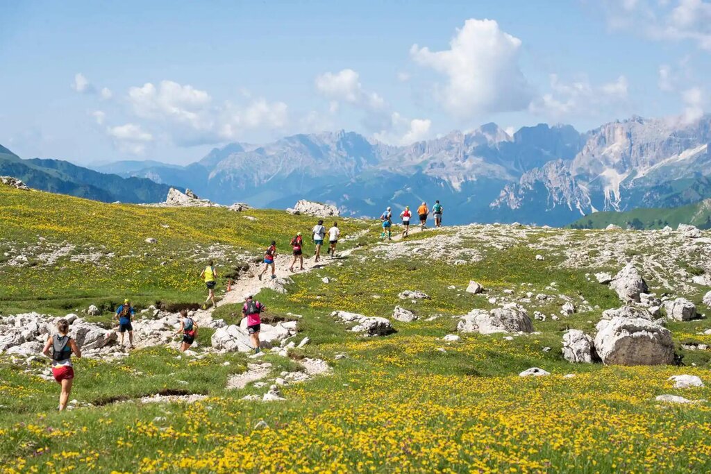 Images Trn 1 C58867a5 6b05 49b1 9eb8 4465b090509b 99 Image