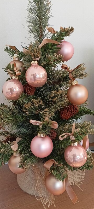 Ferrazzi Fabio   Ciasa Modestina