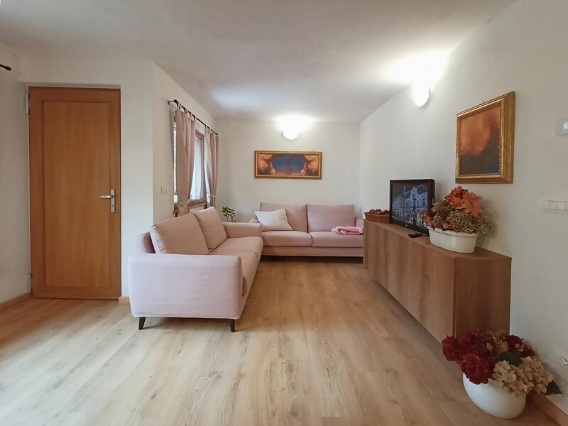 Ferrazzi Fabio   Ciasa Modestina