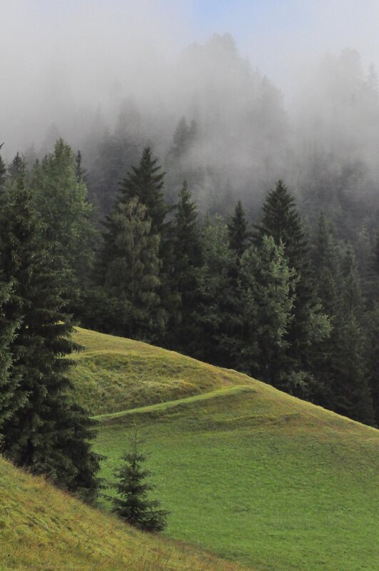 Ferrazzi Fabio   Ciasa Modestina