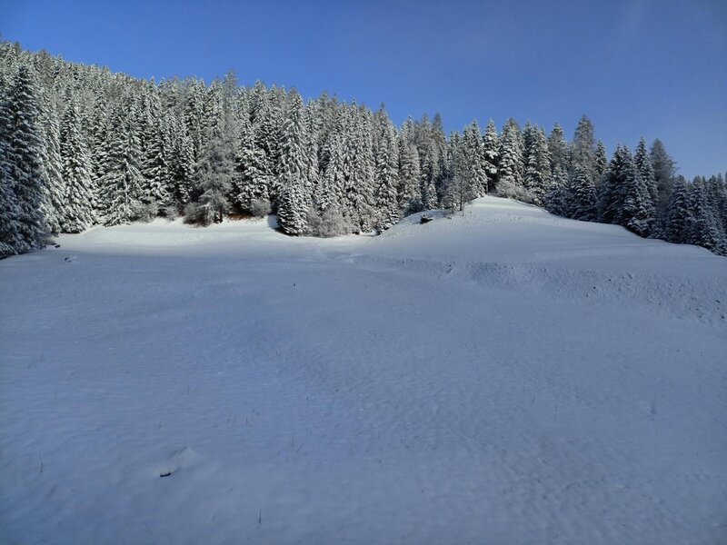 Ferrazzi Fabio   Ciasa Modestina