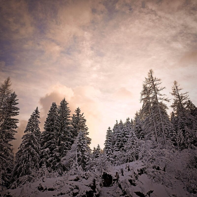 Ferrazzi Fabio   Ciasa Modestina