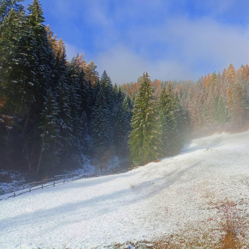 Ferrazzi Fabio   Ciasa Modestina