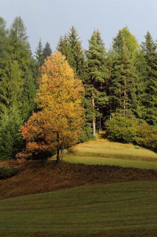 Ferrazzi Fabio   Ciasa Modestina