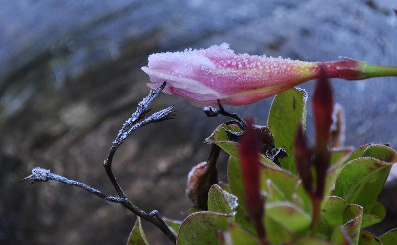 Ferrazzi Fabio   Ciasa Modestina