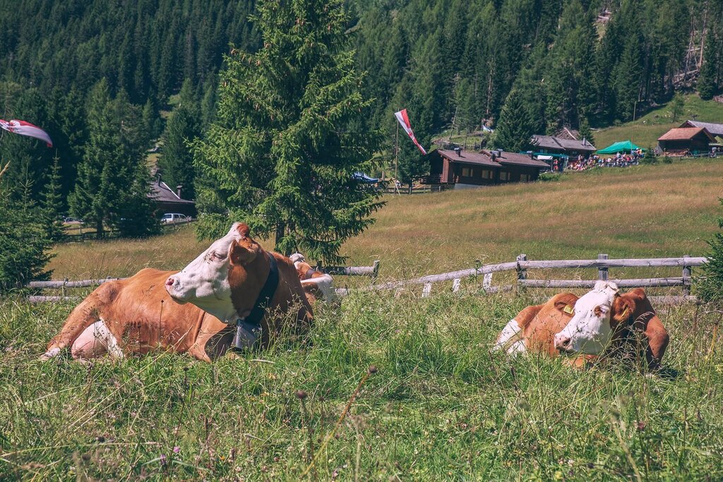 Images Trn 1 4e8c0c00 4794 4f45 A9db 47f2d96ef0ac 99 Image