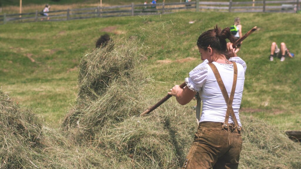 Images Trn 1 56186f3d 2576 466f 8b45 E049e3b70c8e 99 Image