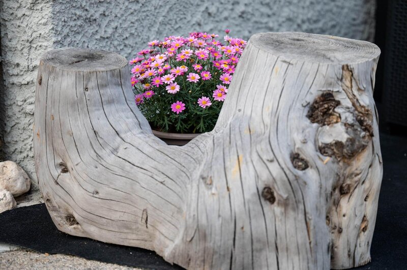 Ghetta Alessandro   Ciasa Semal App