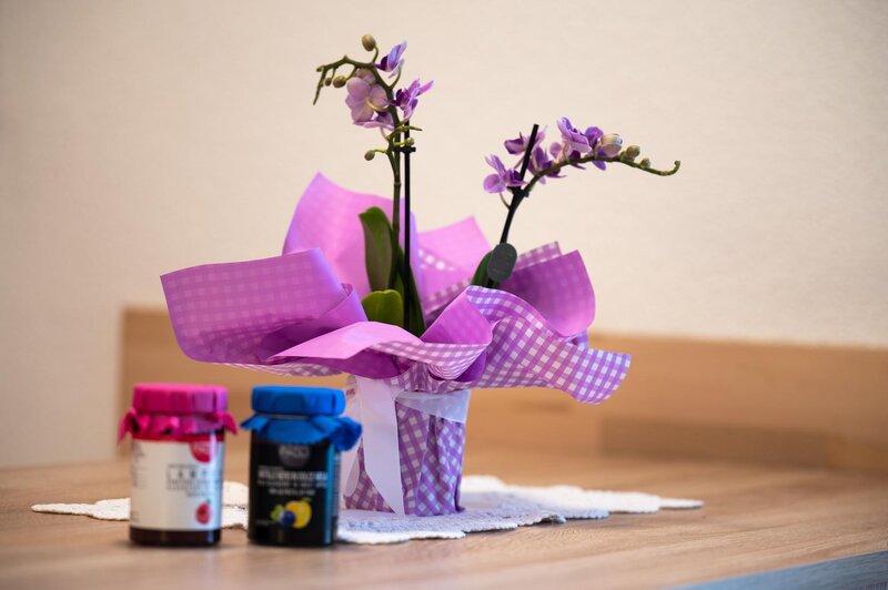 Ghetta Alessandro   Ciasa Semal App