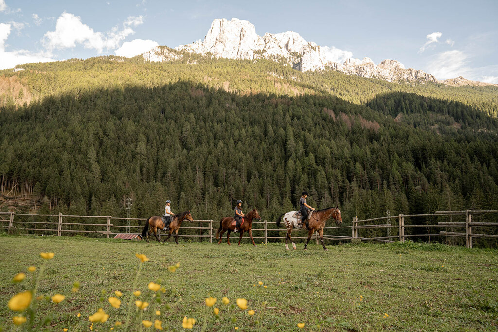 Content Dam Org 3 Images Full Rights Outdoor Equitazione   Maneggi Horse Ranch Highland Cattle Horse Ranch Highland Cattle Vigo Archivio Apt Val Di Fassa Mrizzi 05