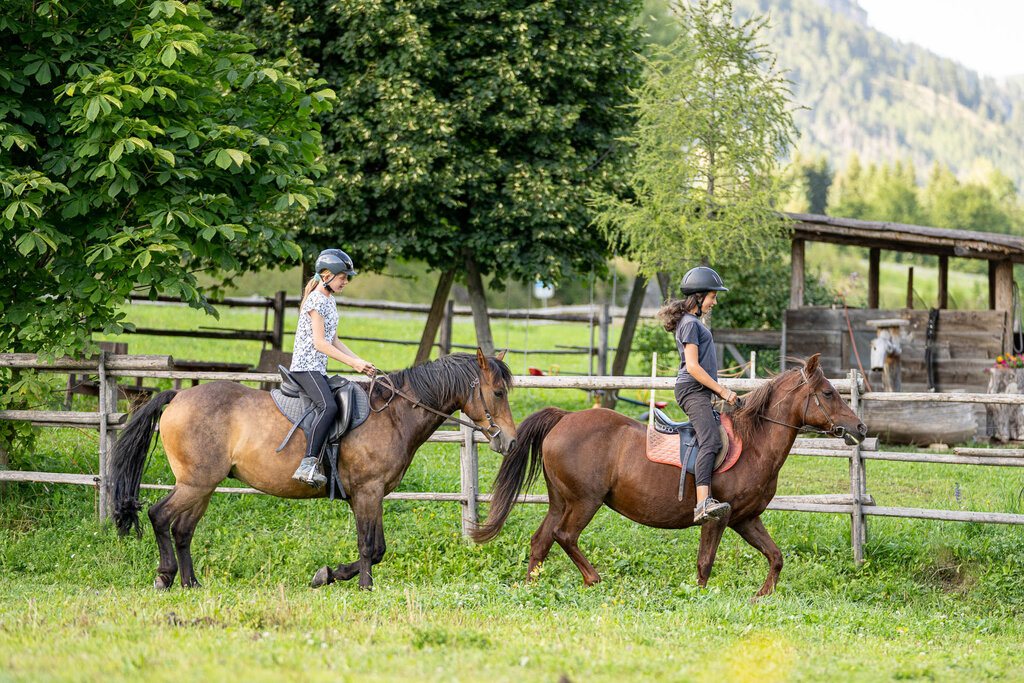 Content Dam Org 3 Images Full Rights Outdoor Equitazione   Maneggi Horse Ranch Highland Cattle Horse Ranch Highland Cattle Vigo Archivio Apt Val Di Fassa Mrizzi 11
