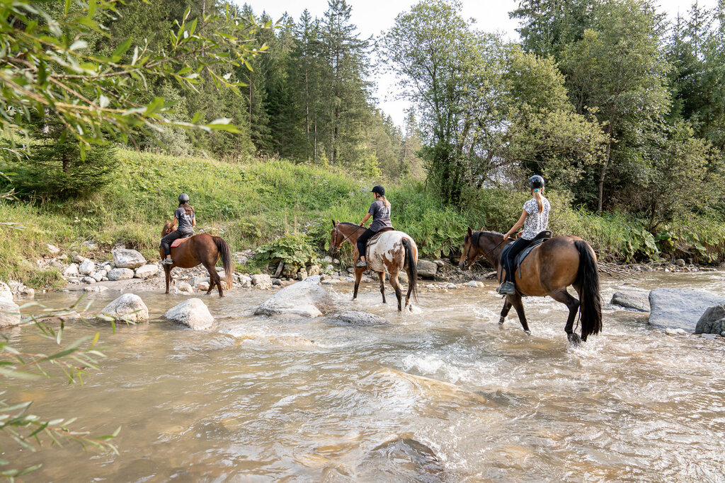 Content Dam Org 3 Images Full Rights Outdoor Equitazione   Maneggi Horse Ranch Highland Cattle Horse Ranch Highland Cattle Vigo Archivio Apt Val Di Fassa Mrizzi 13