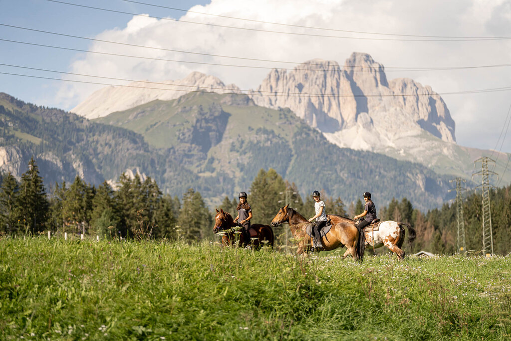 Content Dam Org 3 Images Full Rights Outdoor Equitazione   Maneggi Horse Ranch Highland Cattle Horse Ranch Highland Cattle Vigo Archivio Apt Val Di Fassa Mrizzi 28