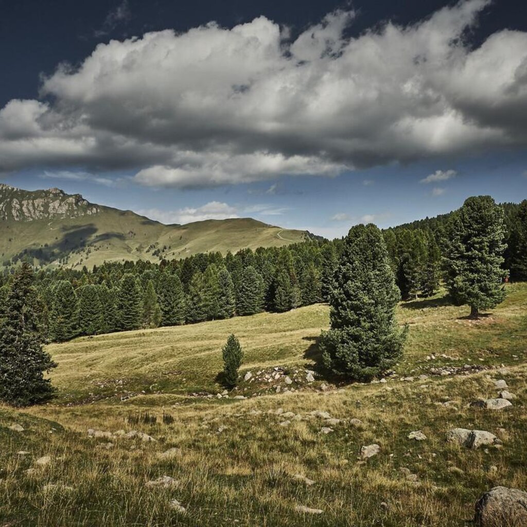 I Suoni Delle Dolomiti: Quinn Christopherson Trio