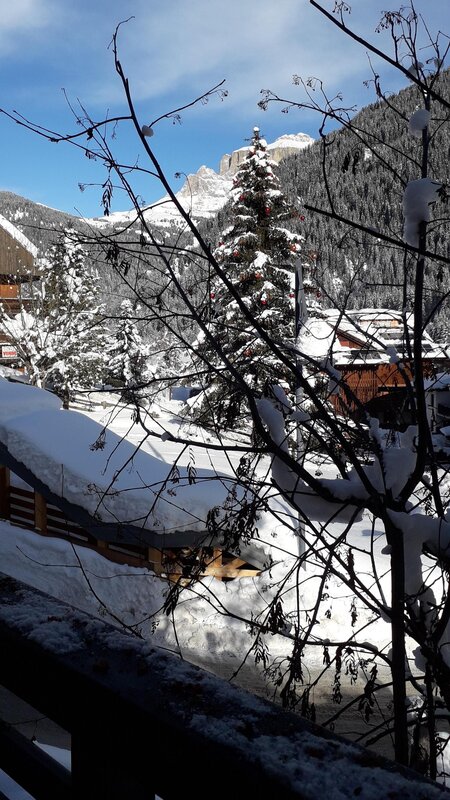 Iori Federica   Sa Cuch