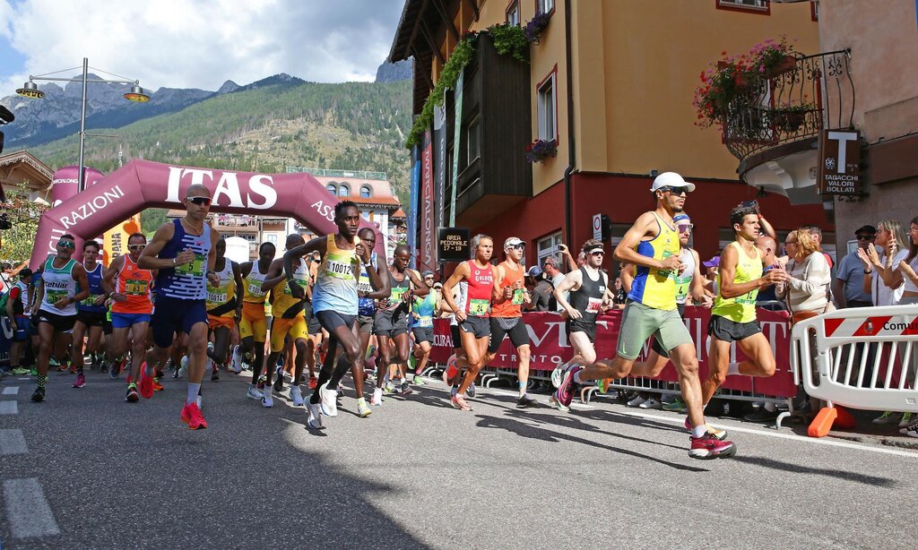 Images Trn 1 7582e0ce 44a6 46fb A90f 6370a9f7d4d0 99 Image