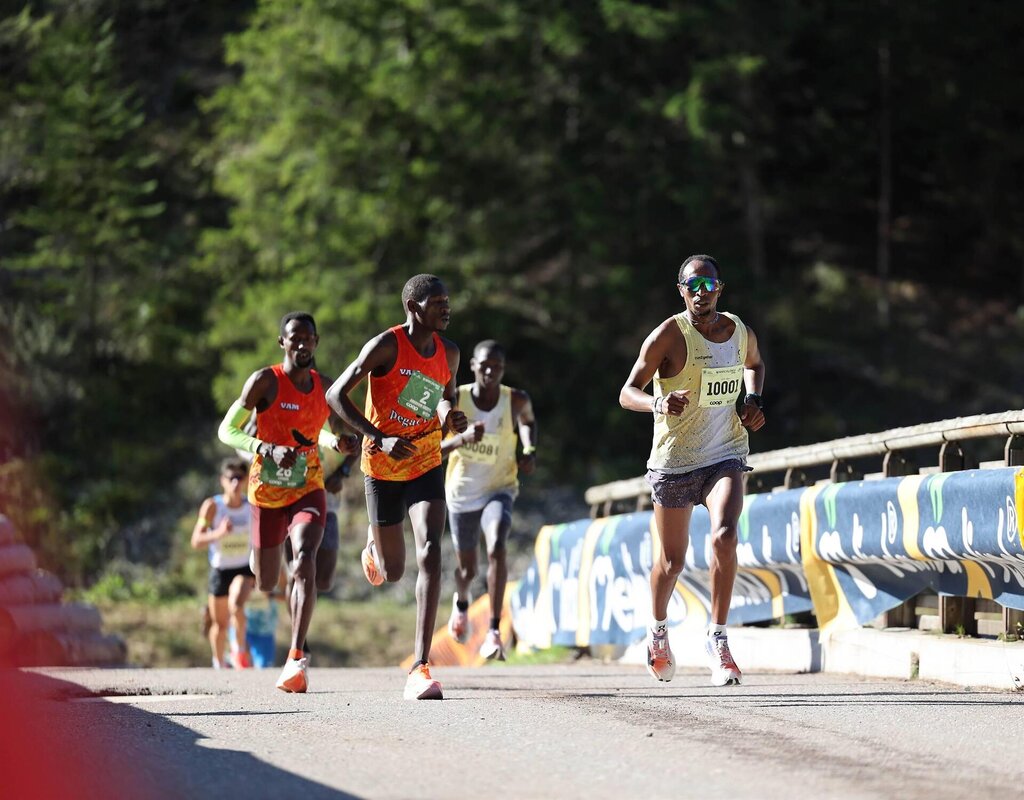 Images Trn 1 1f555e35 Ded2 4646 Aaef 4cc9e0722e42 99 Image