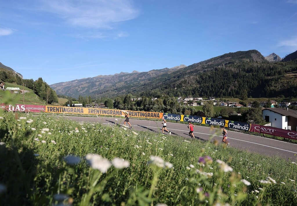 Images Trn 1 3ba3b7cb Ba93 4eba 8fc6 B444208b717f 99 Image