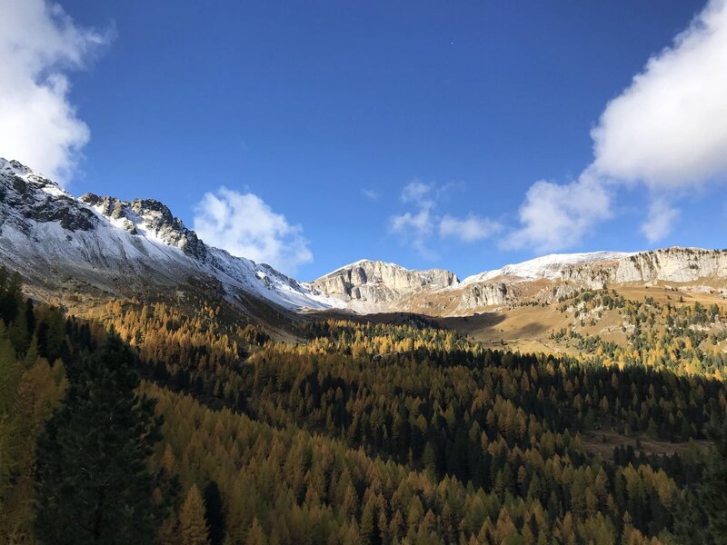 Monzoni "Torquato Taramelli"