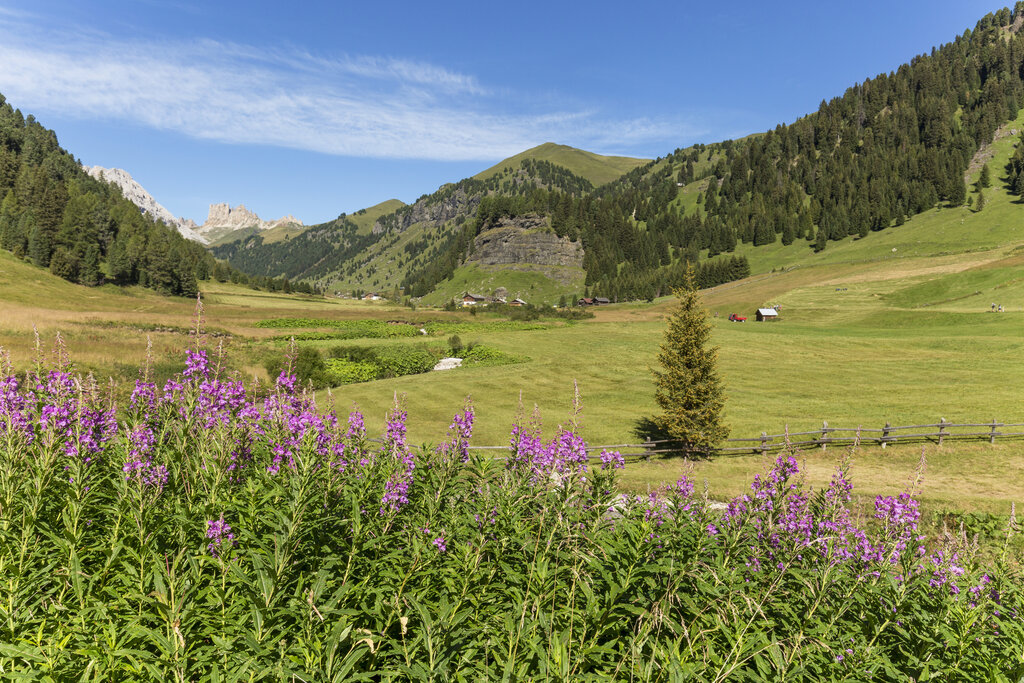 Content Dam Org 0 Images Full Rights Natura 33441