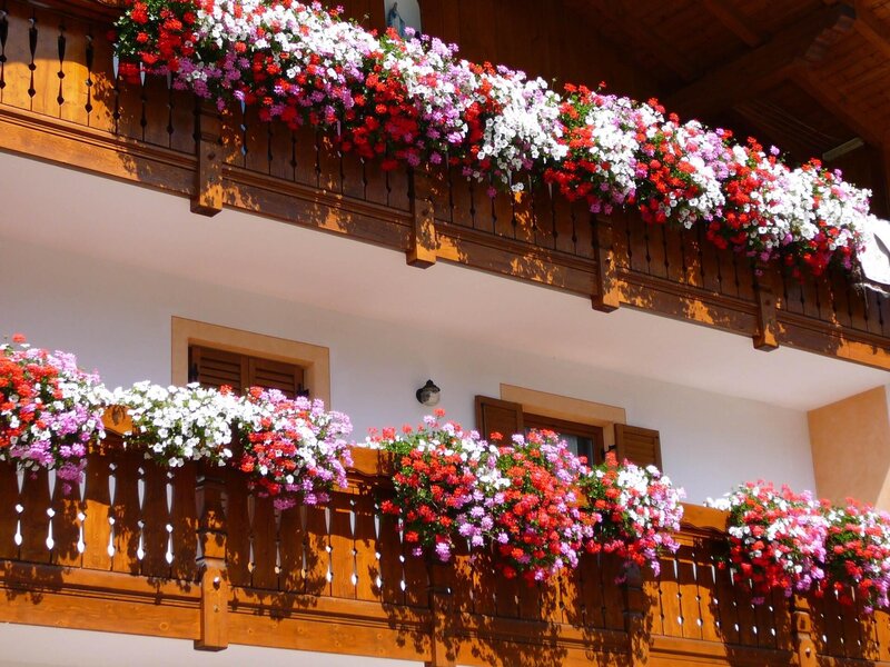 Pollam Teresa - Ciasa Teresa