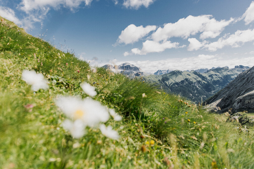Content Dam Org 3 Images Full Rights Punti Panoramici Punto Panoramico Ciampac Aptvaldifassa 028 Federico Modica 2093