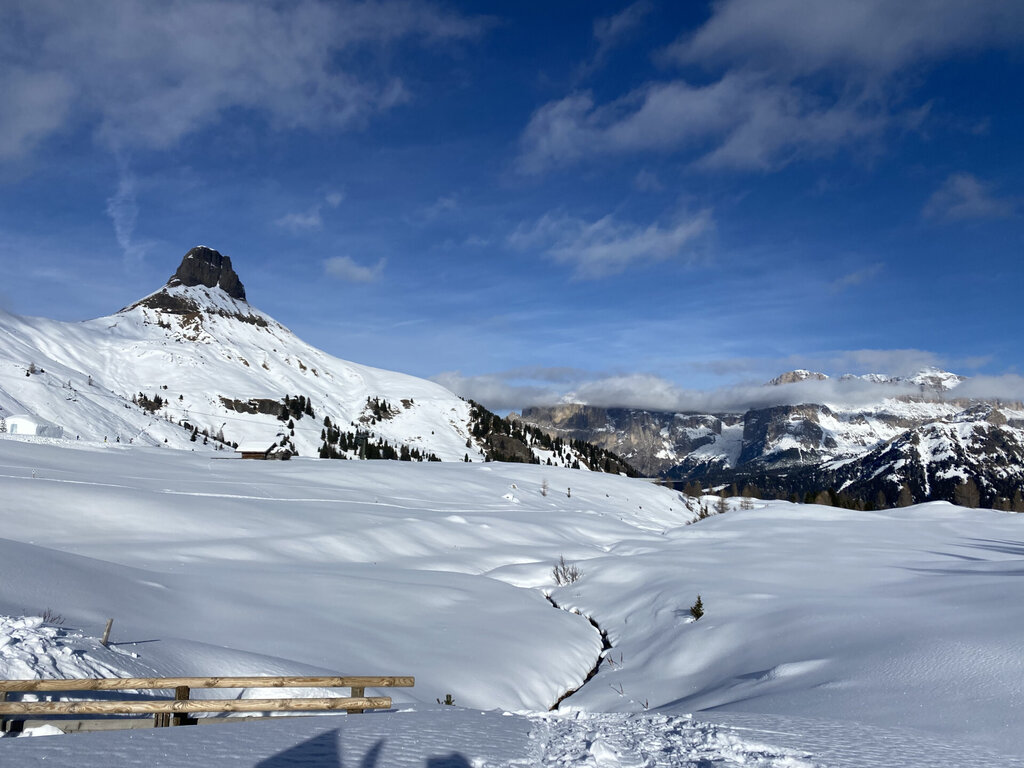 Content Dam Org 3 Images Full Rights Punti Panoramici Punto Panoramico Ciampac Percorso Ciaspole Ciampac Archivio Funivia Ciampac E Contrin Spa 8