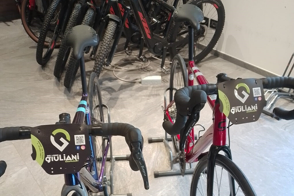 Content Dam Org 3 Images Full Rights Servizi Noleggi Sci E Snowboard Ski E Bike Giuliani Noleggio Giuliani Soraga 01