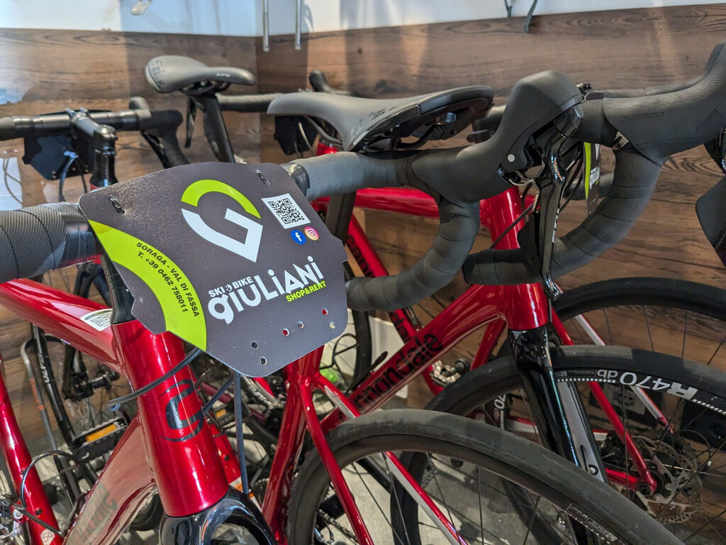 Content Dam Org 3 Images Full Rights Servizi Noleggi Sci E Snowboard Ski E Bike Giuliani Ski E Bike Giuliani Soraga Archivio Apt Val Di Fassa Dlorenz 0571