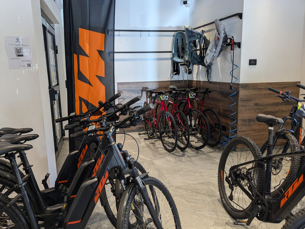 Content Dam Org 3 Images Full Rights Servizi Noleggi Sci E Snowboard Ski E Bike Giuliani Ski E Bike Giuliani Soraga Archivio Apt Val Di Fassa Dlorenz 0895