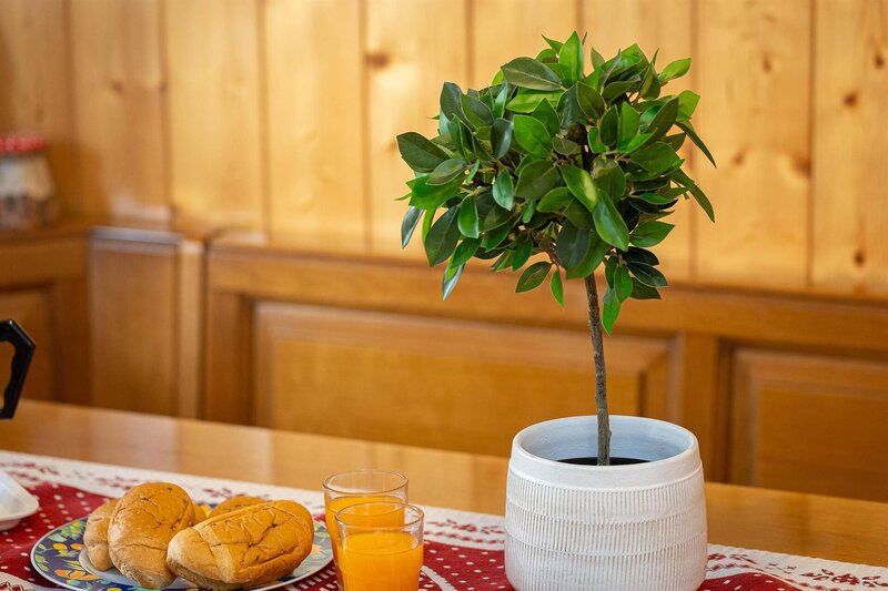 Spiezio Valerio   Ciasa De Vich