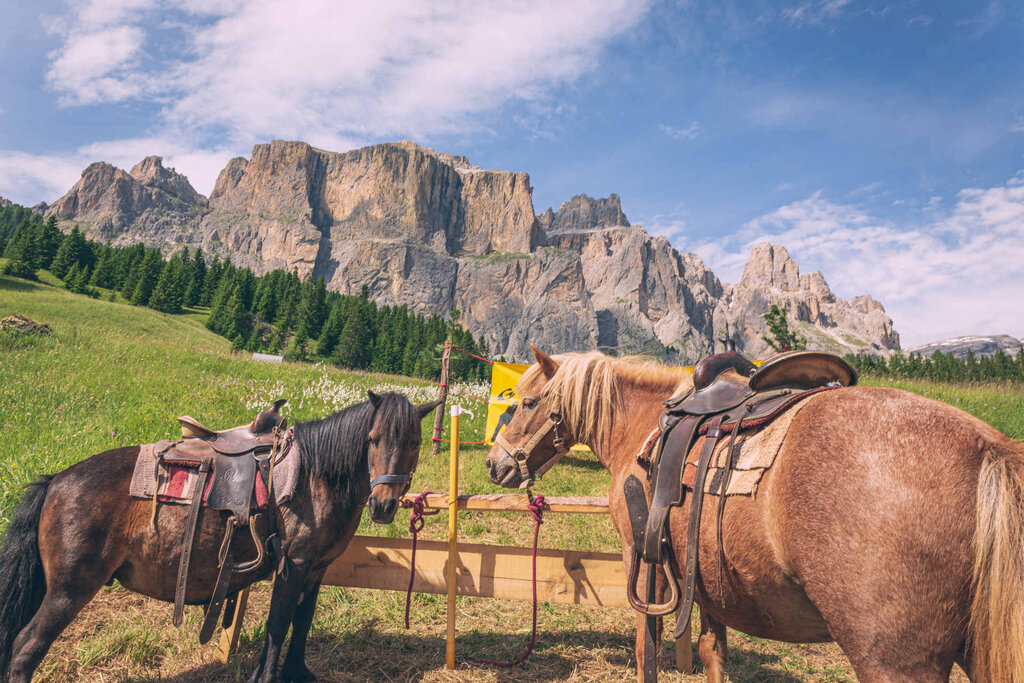 Content Dam Org 3 Images Full Rights Outdoor Equitazione   Maneggi Archivio Apt Val Di Fassa Pramirez Equitazione Maneggi Cavalli