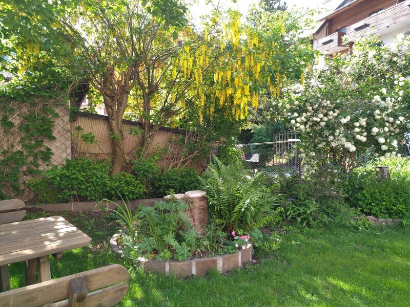 Zorzi Annalisa - Condominio Zorzi