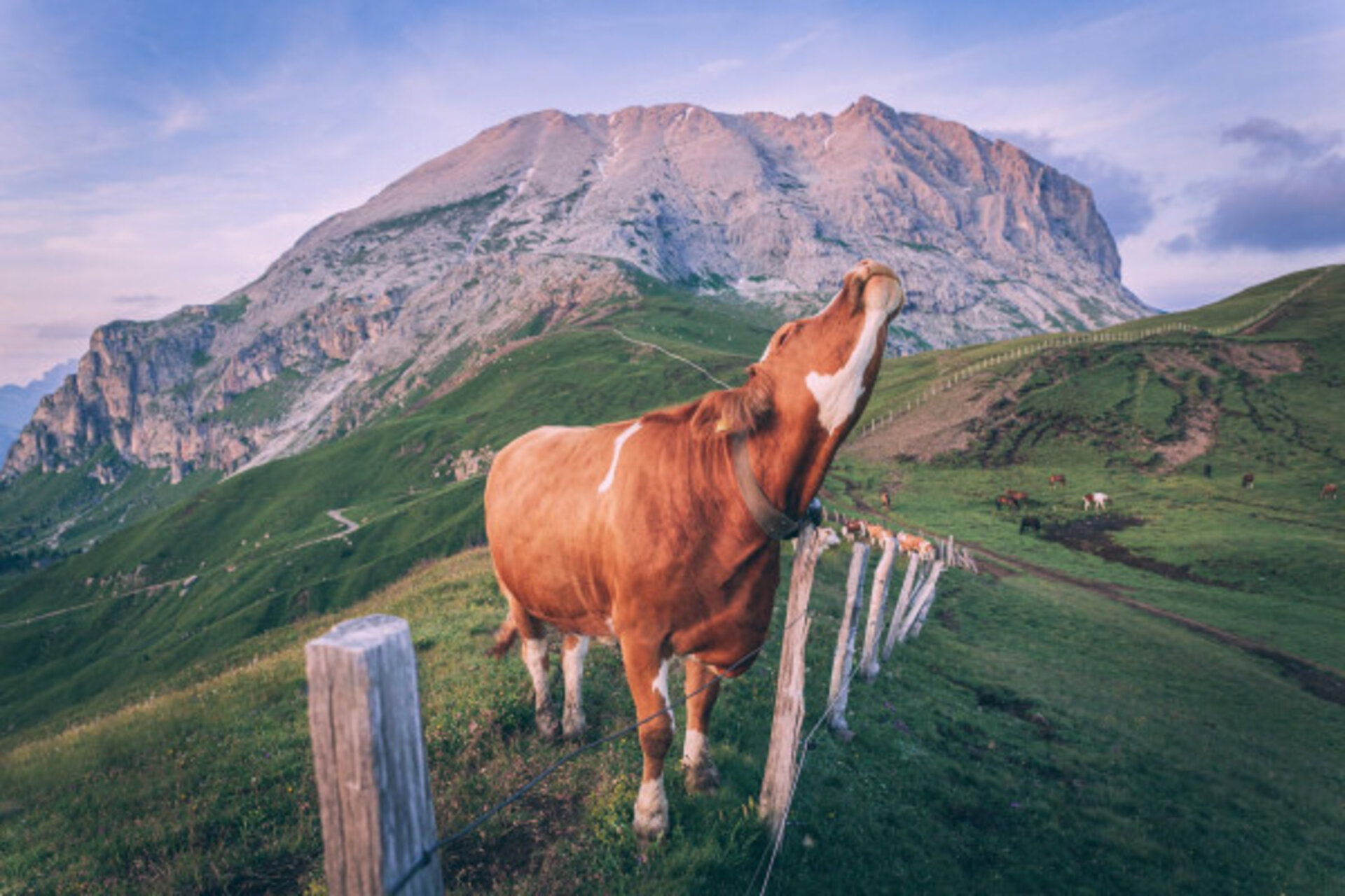 Sonnenaufgang auf der Almhütte - Plattkofel Alm