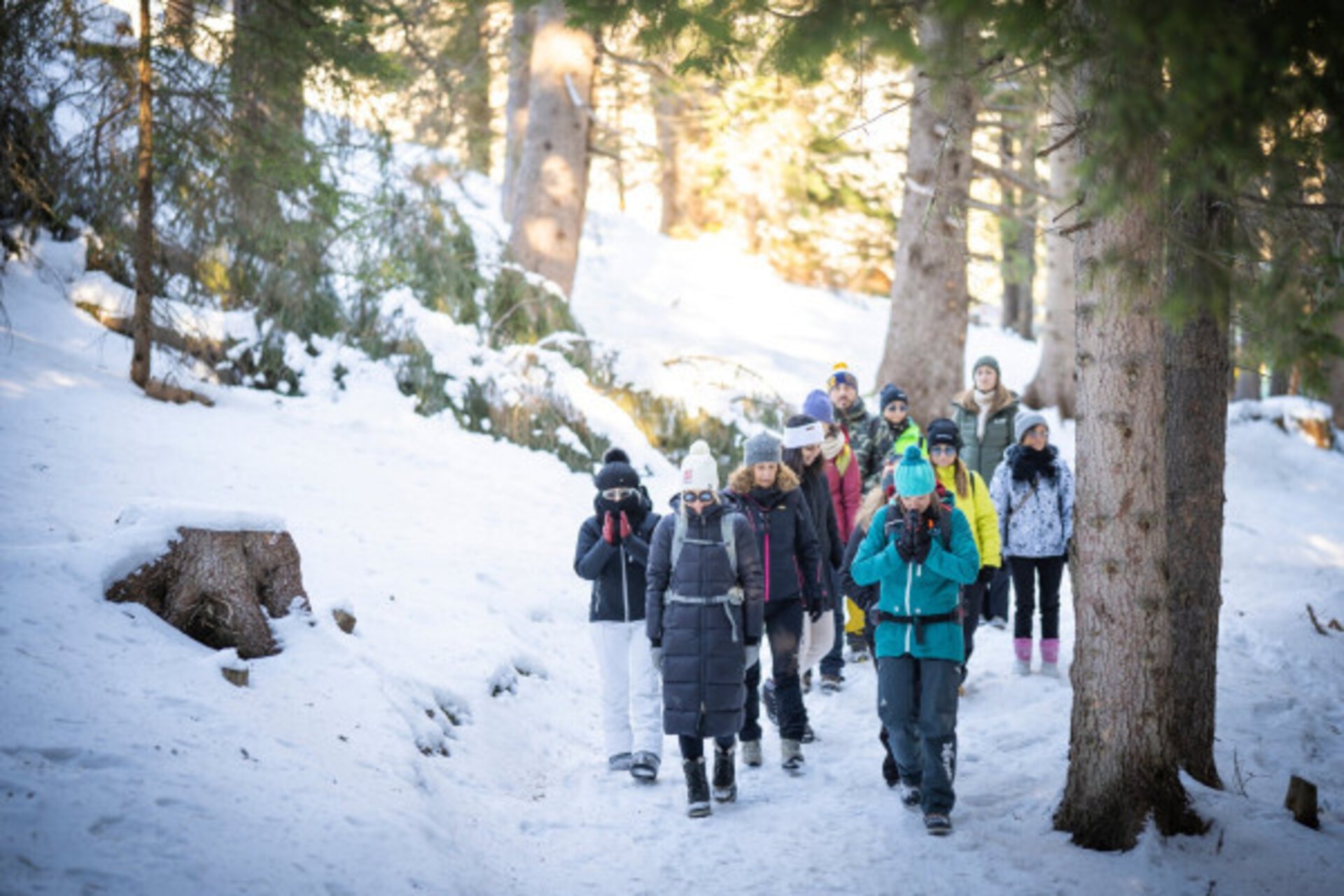 Forest Bathing: winter wellness in the woods