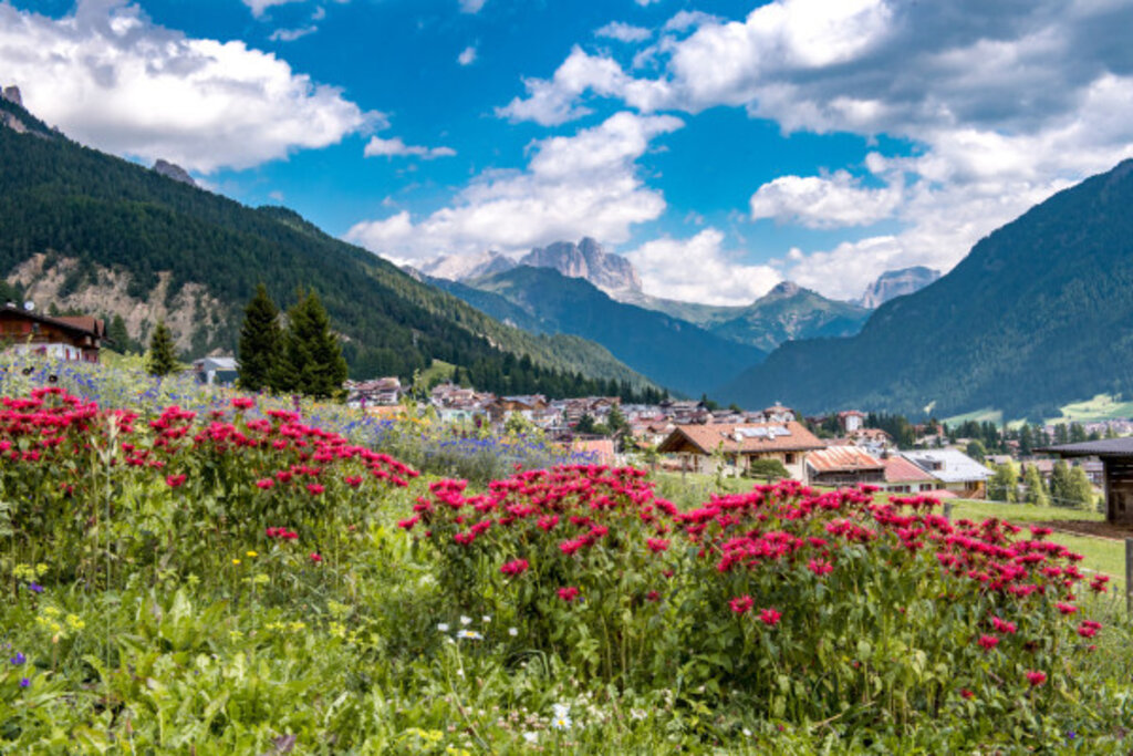 Media Catalog Product B I Big Ticket Image 6465ed29c8e07873664458 Cropped600 400