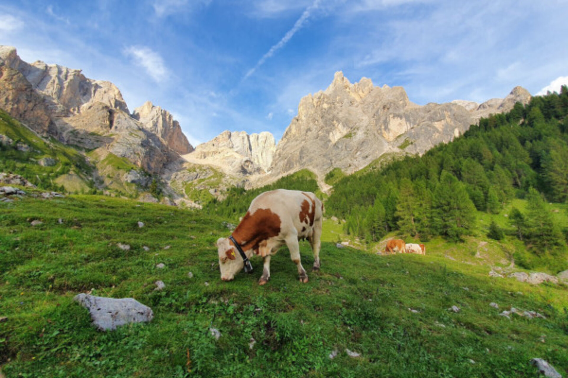 Letzte Sonnenstrahlen Auf Der Almhütte    Malga Contrin