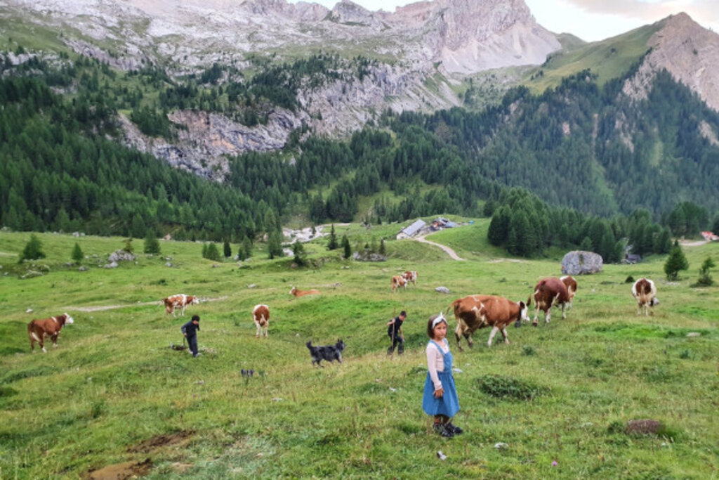 Media Catalog Product B I Big Ticket Image 69bab5af5ac08301329943 Cropped600 400