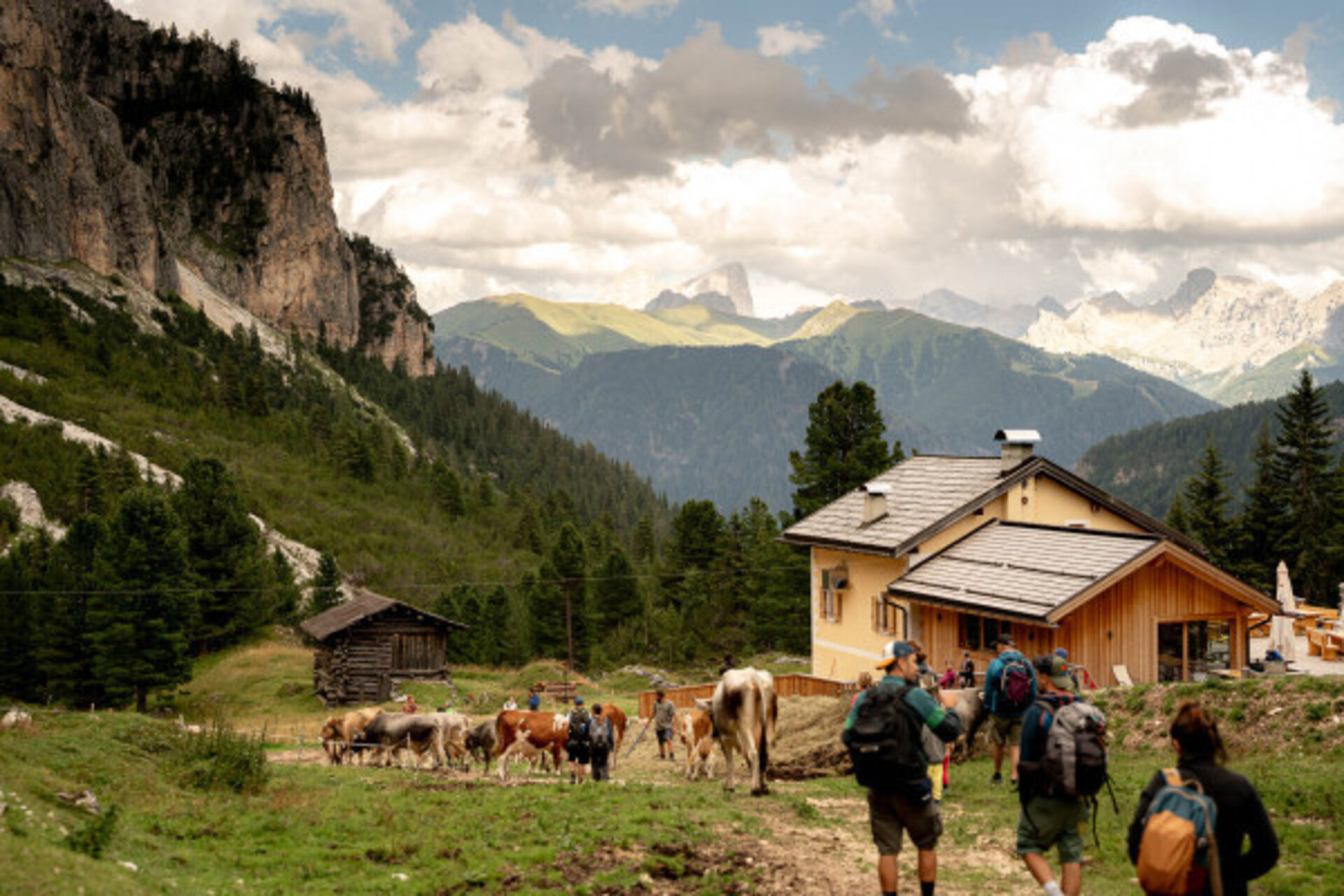 Last Rays Of Sunshine In A Mountain Dairy    Malga Couler
