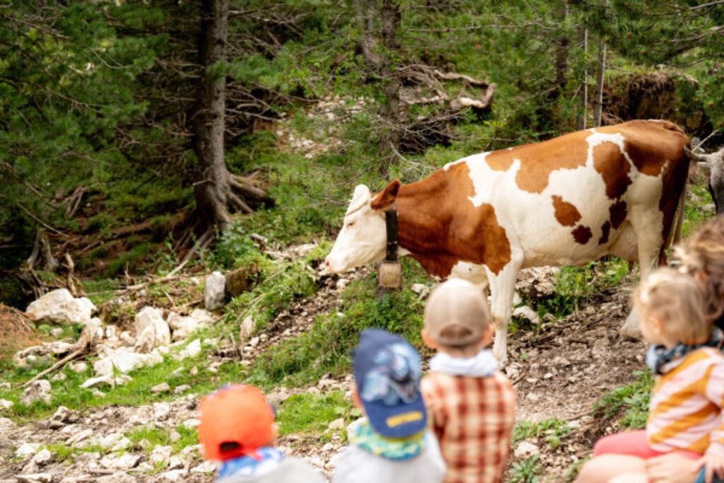 Media Catalog Product B I Big Ticket Image 69bab7d295d64163792775 Cropped600 400