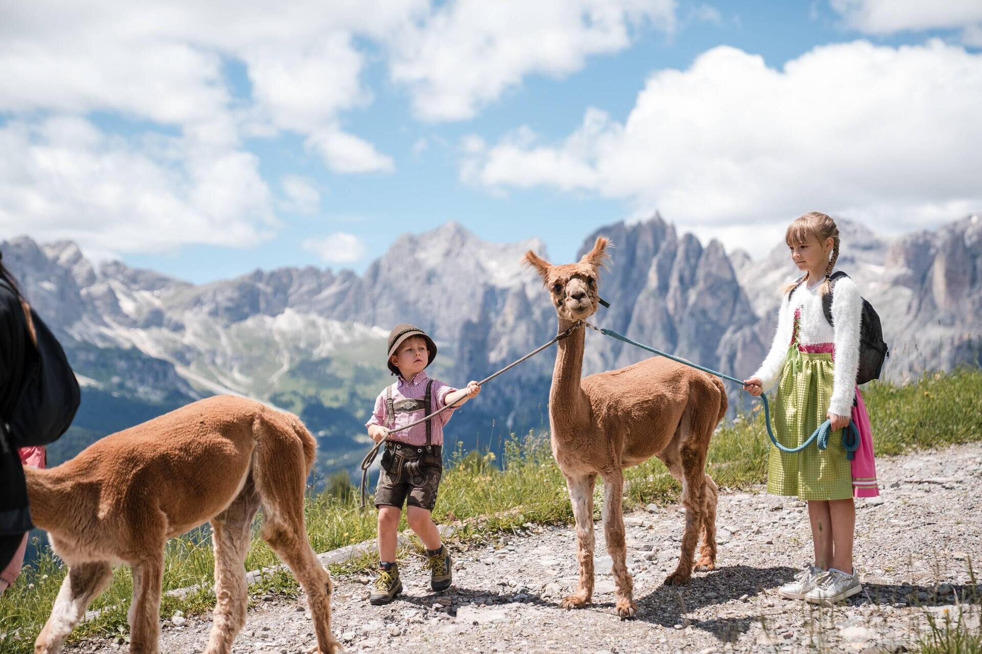 A spasso con gli alpaca - Buffaure
