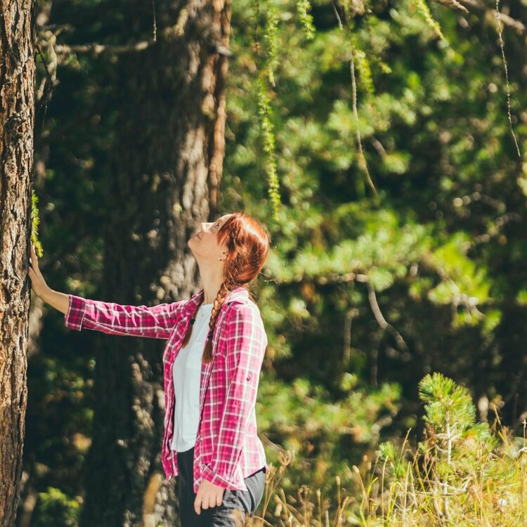 Benessere Naturale forest bathing