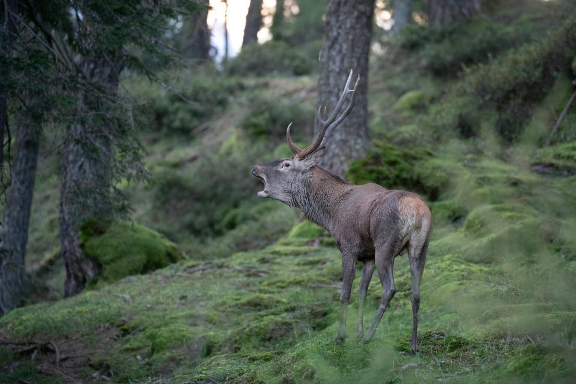 Con gli occhi del fotografo