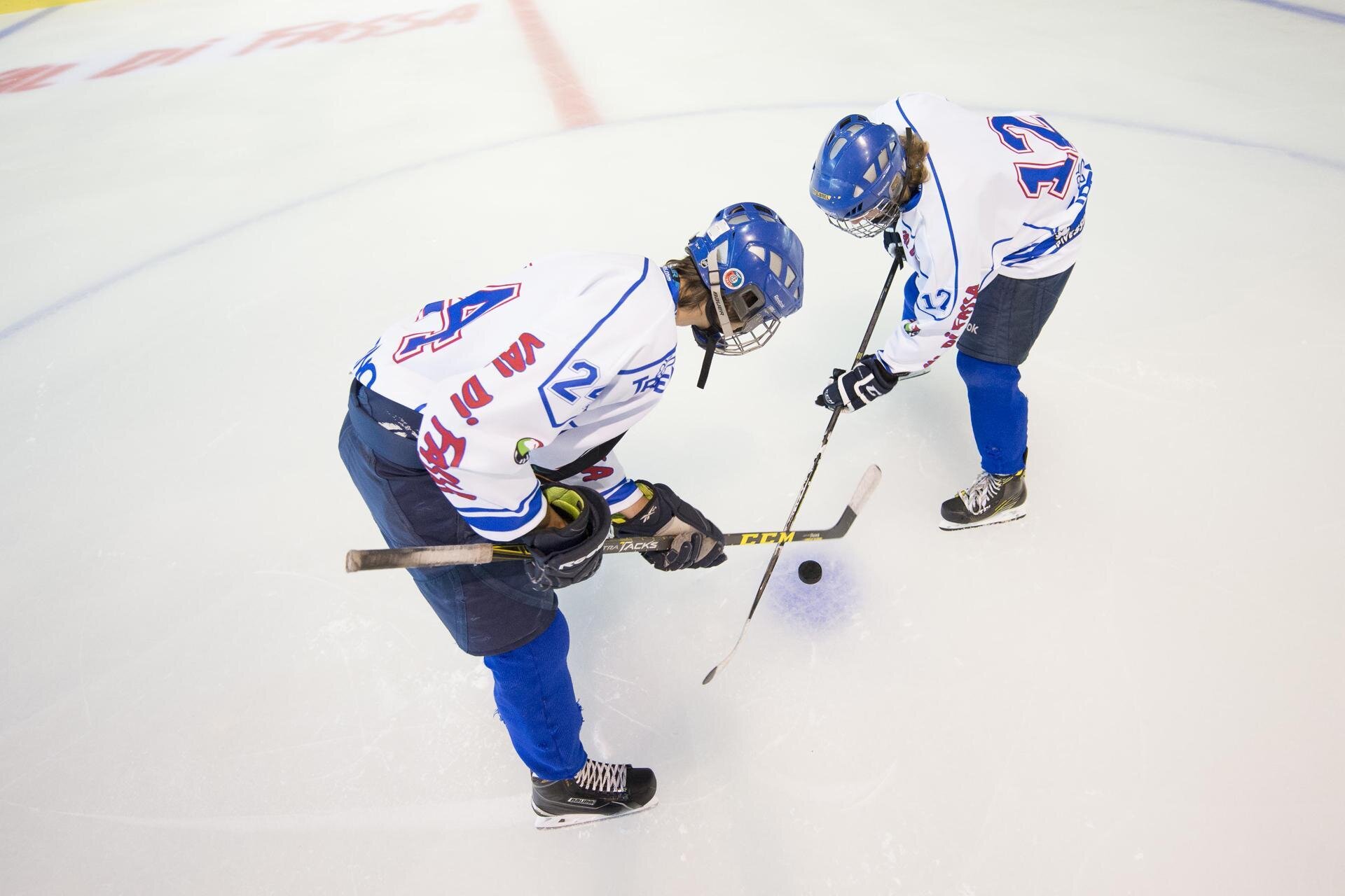 Fassa Falcons