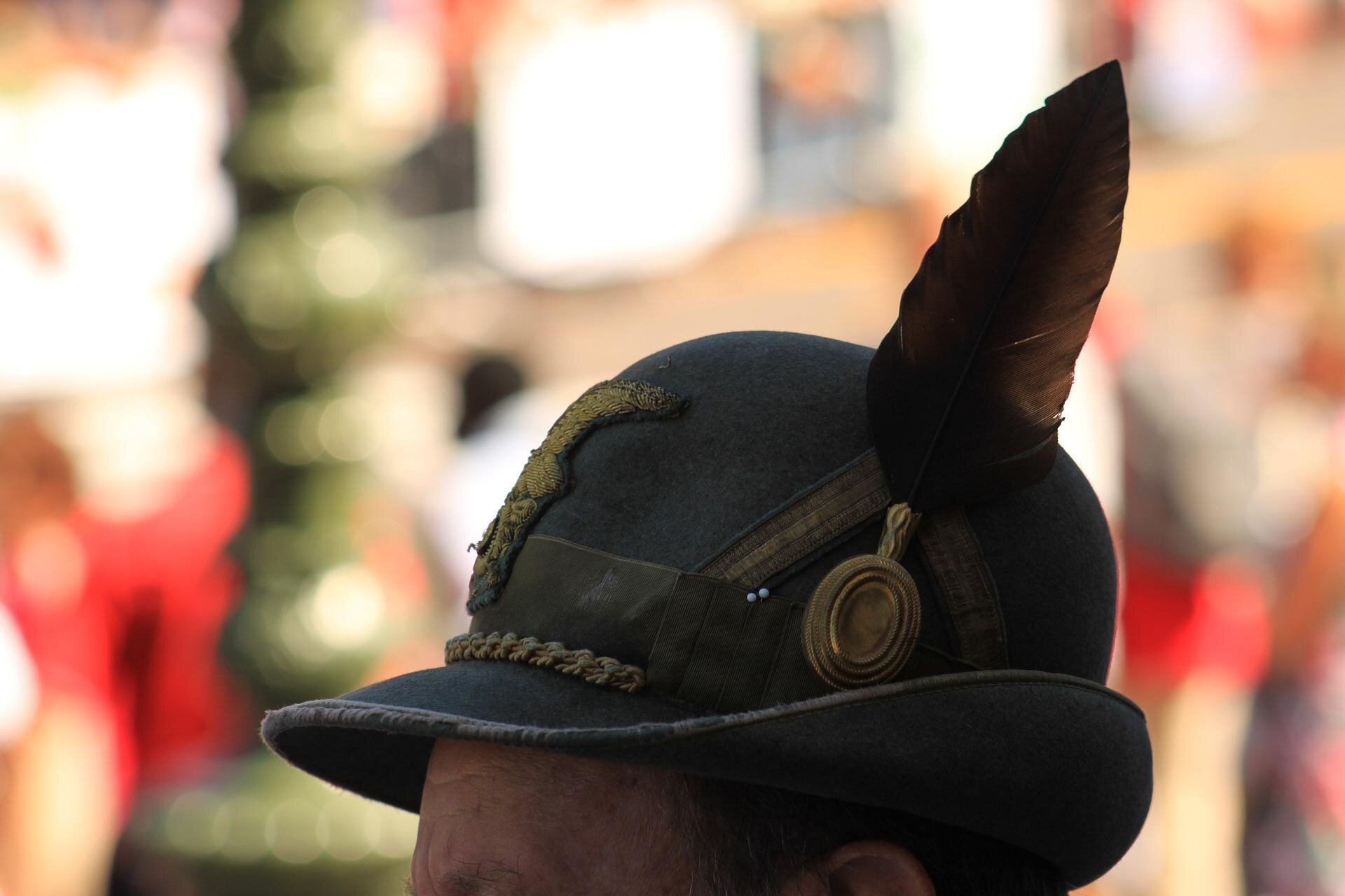 Festa Alpini