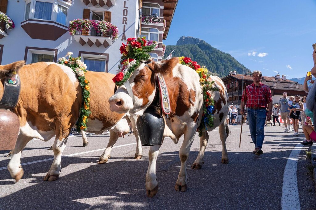 Festival del Puzzone di Moena_17