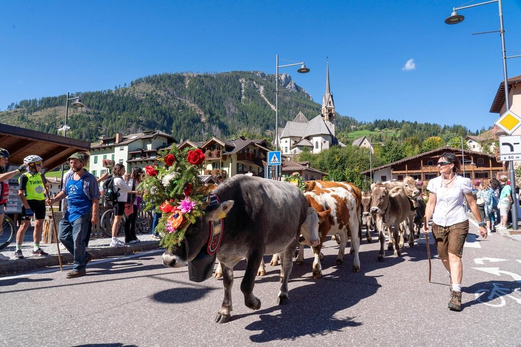 Festival del Puzzone Moena_17