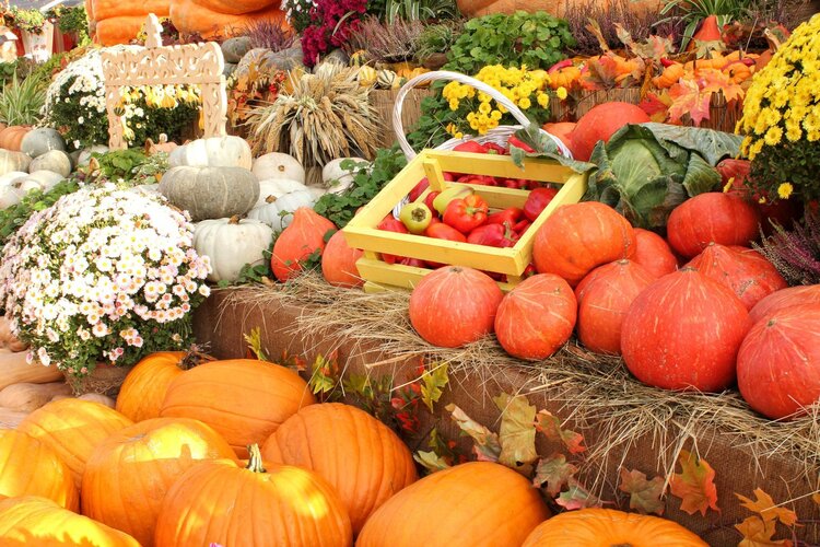Mercato contadino
